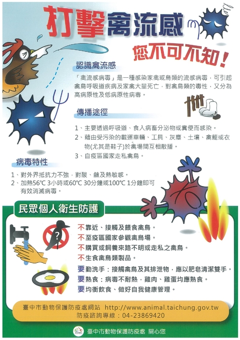 禽流感宣傳海報