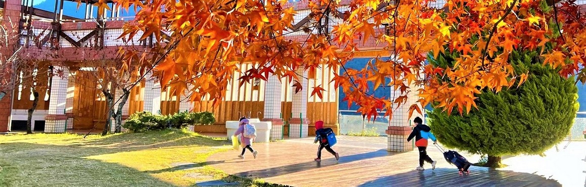楓紅季節