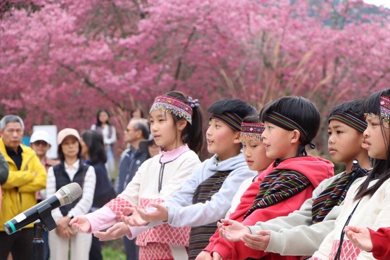 武陵農場學生泰雅舞表演
